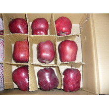 2015 Fresh New Crop Huaniu Apple